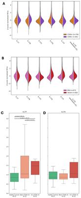 Circulating IL-17F, but not IL-17A, is elevated in severe COVID-19 and leads to an ERK1/2 and p38 MAPK-dependent increase in ICAM-1 cell surface expression and neutrophil adhesion on endothelial cells